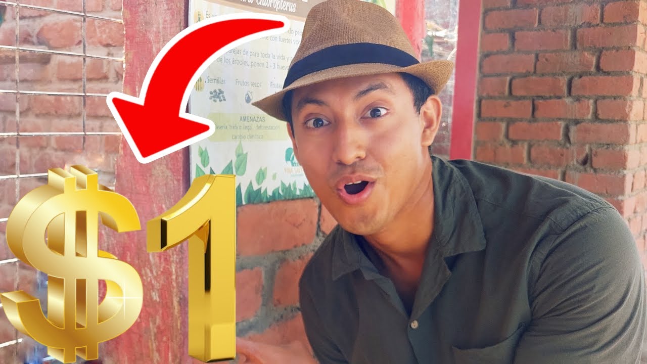 Visit&eacute; un ZOOCRIADERO de $ 1 en PER&Uacute; | Wild Life & Fish