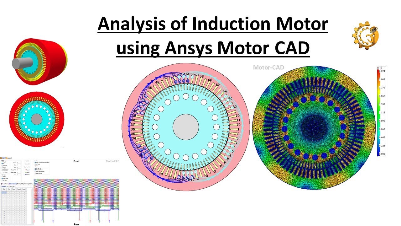 Analysis of Induction Motor using Ansys Motor CAD