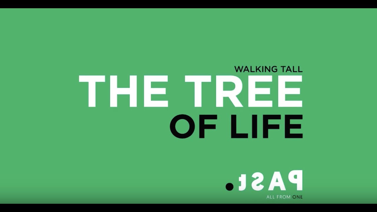 PAST: Tree of Life Walking Tall Series 3