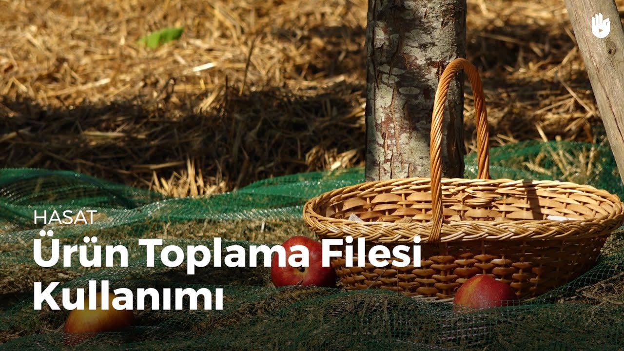 Hasat: &Uuml;r&uuml;n Toplama Filesi Kullanımı