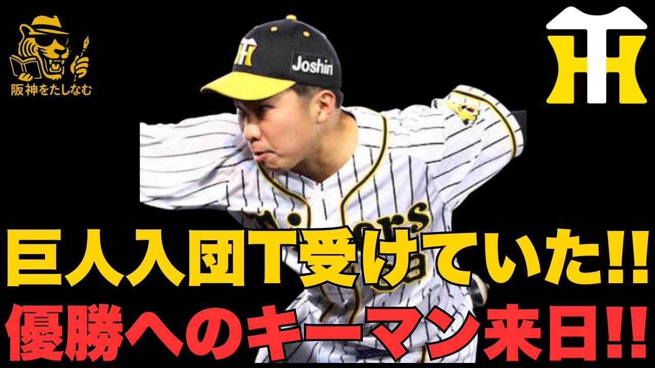 石井巨人入団テストを受けていた事に思う事‼️連覇へのキーマン来日‼️　#阪神タイガース＃谷端 将伍＃阪神タイガースたしなむ#阪神　新外国人#デバニー＃石井大智＃阪神　春季キャンプ＃モレッタ