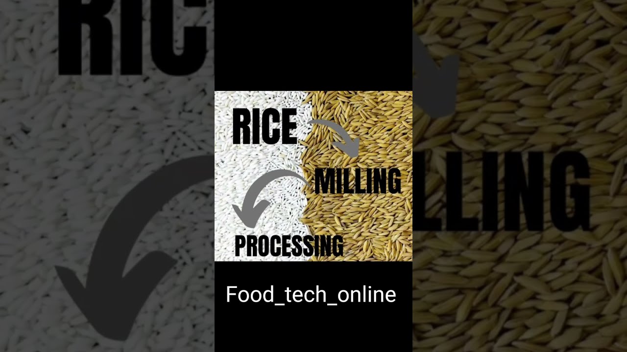 Rice milling processing #food #fssaicbt2 #FSSAICBT2ASPIRANT #fssai #fso #gate2023 #foodstagram #rice