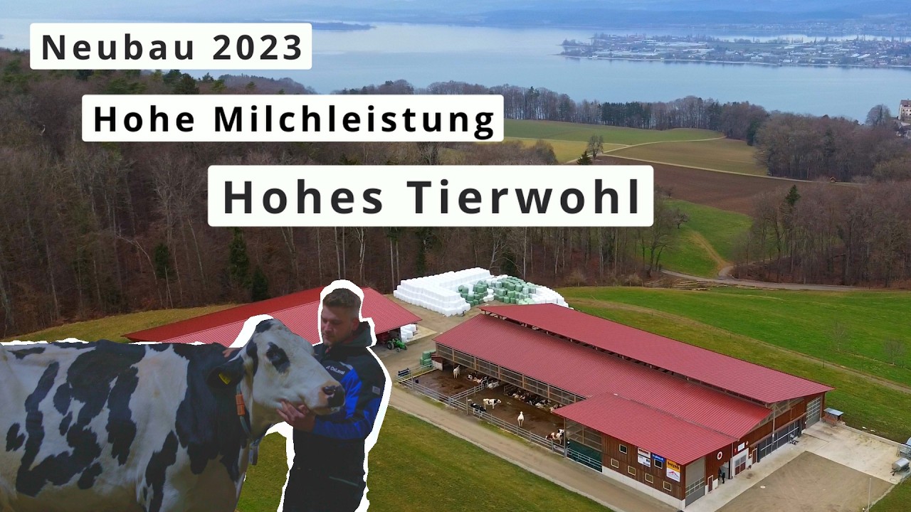 Nach jahrelangem Warten - der Traum vom neuen MILCHBETRIEB wird Realität