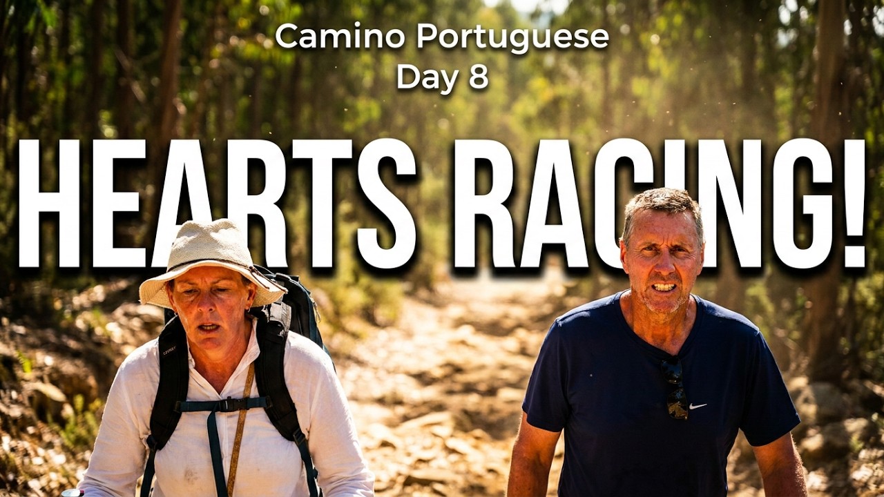 Camino Portuguese Day 8 - Golega to Asseiceira
