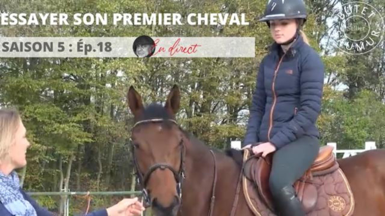 Essai de son 1er cheval  