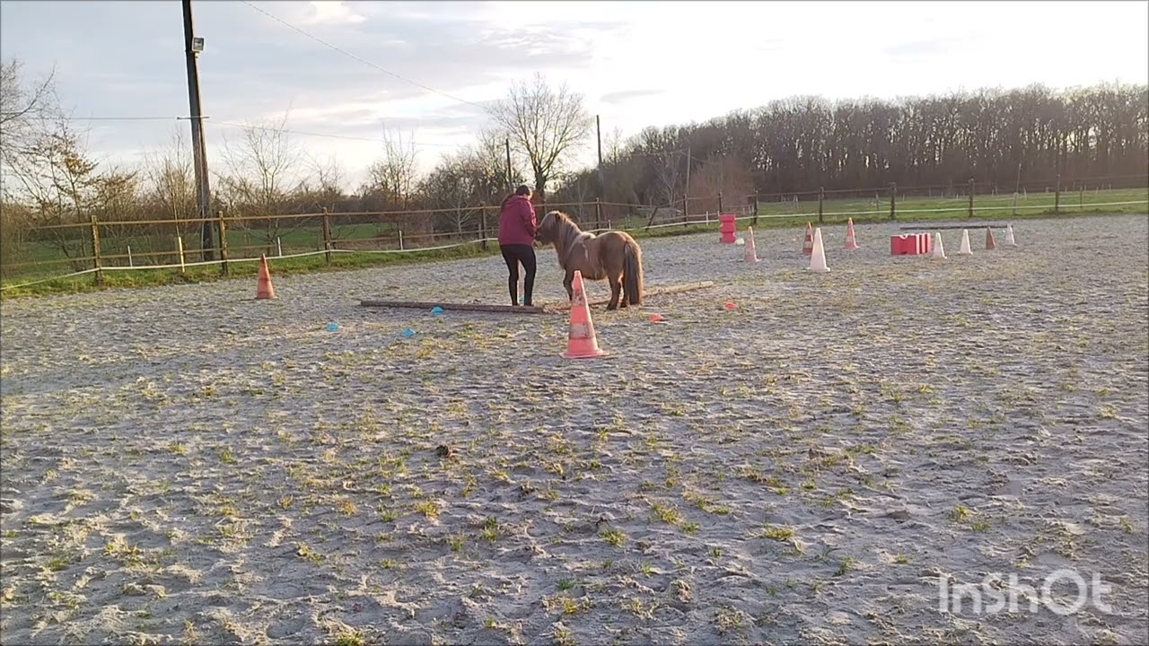 Equifeel virtuel Caval Go 2026 avec Champi. Epreuve club 2, première manche
