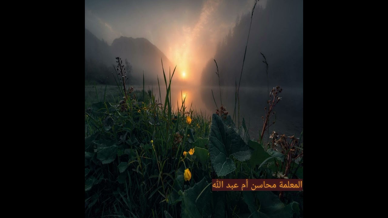 وقفة مع آية