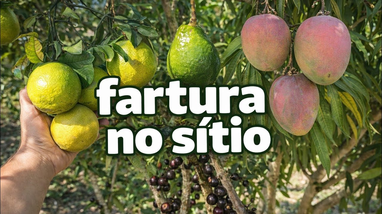 Um dia na roça! Quem planta colhe 😉#roça #sitio 