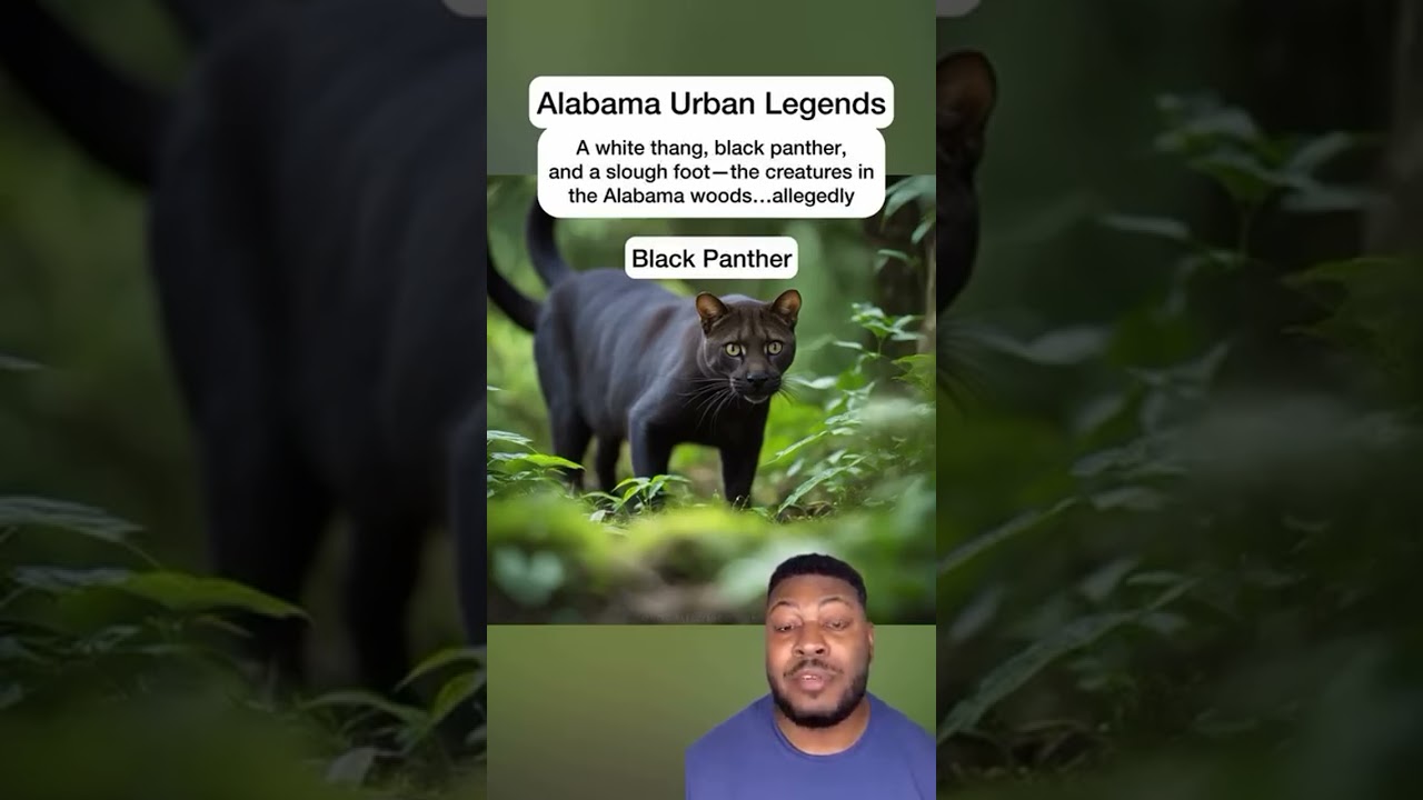 The Alabama cryptids in the woods #alabama #knowalabama #cryptids #Outdoors #wildlife #animals