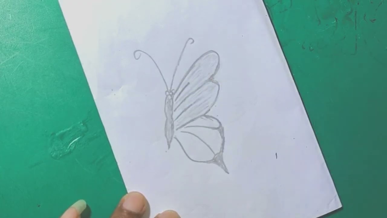 how to draw a butterfly easily