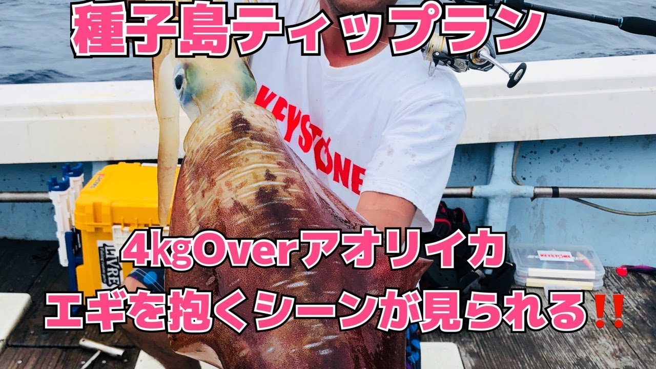 【ティップラン】巨大イカが連発‼️種子島レッドモンスター〜後編〜squid