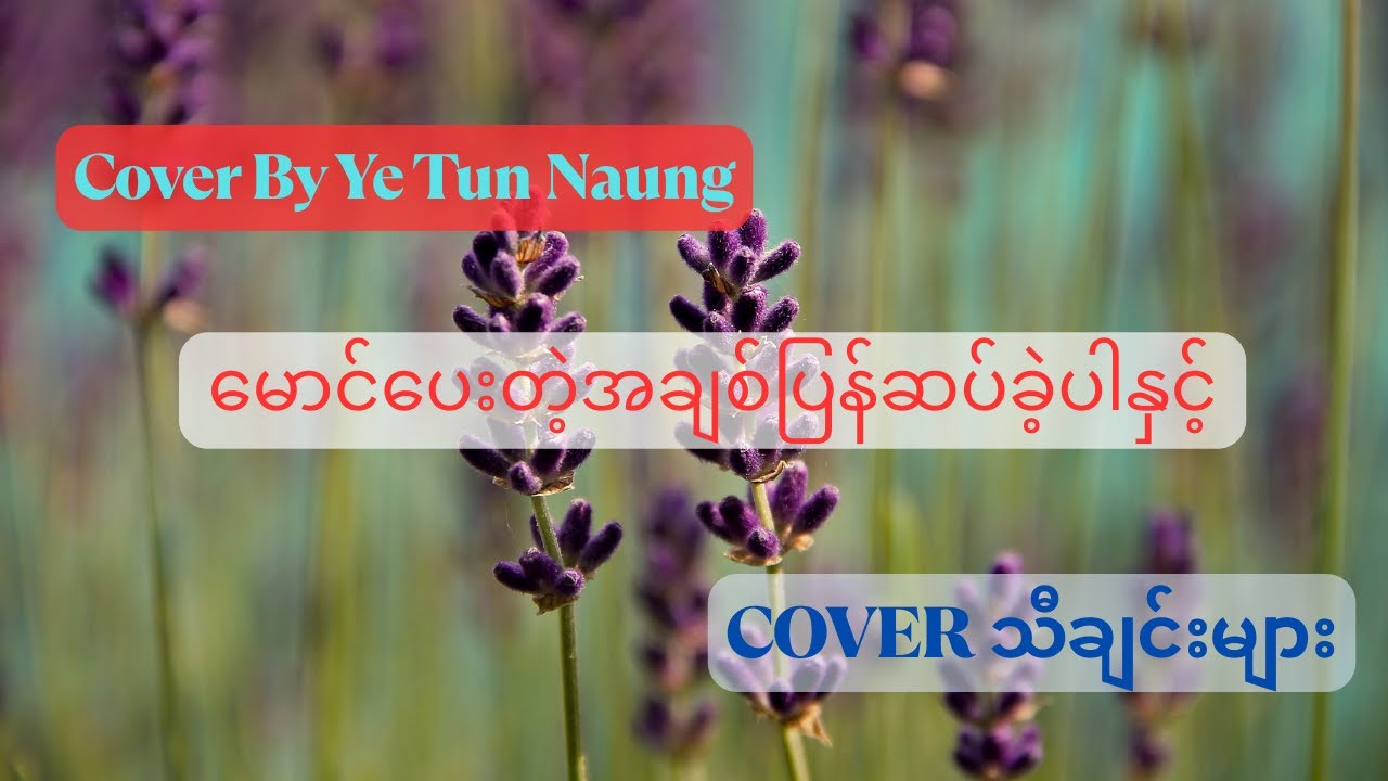 မျက်လုံးချင်းစကားပြောနေပြီနှင့် Cover သီချင်းများ