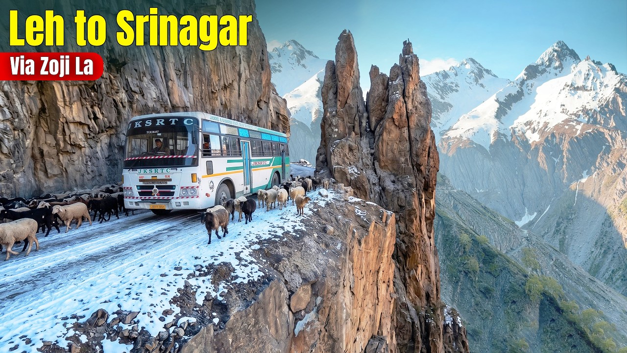 LEH TO SRINAGAR via Kargil & Zojila Pass | JKRTC Bus | Himbus