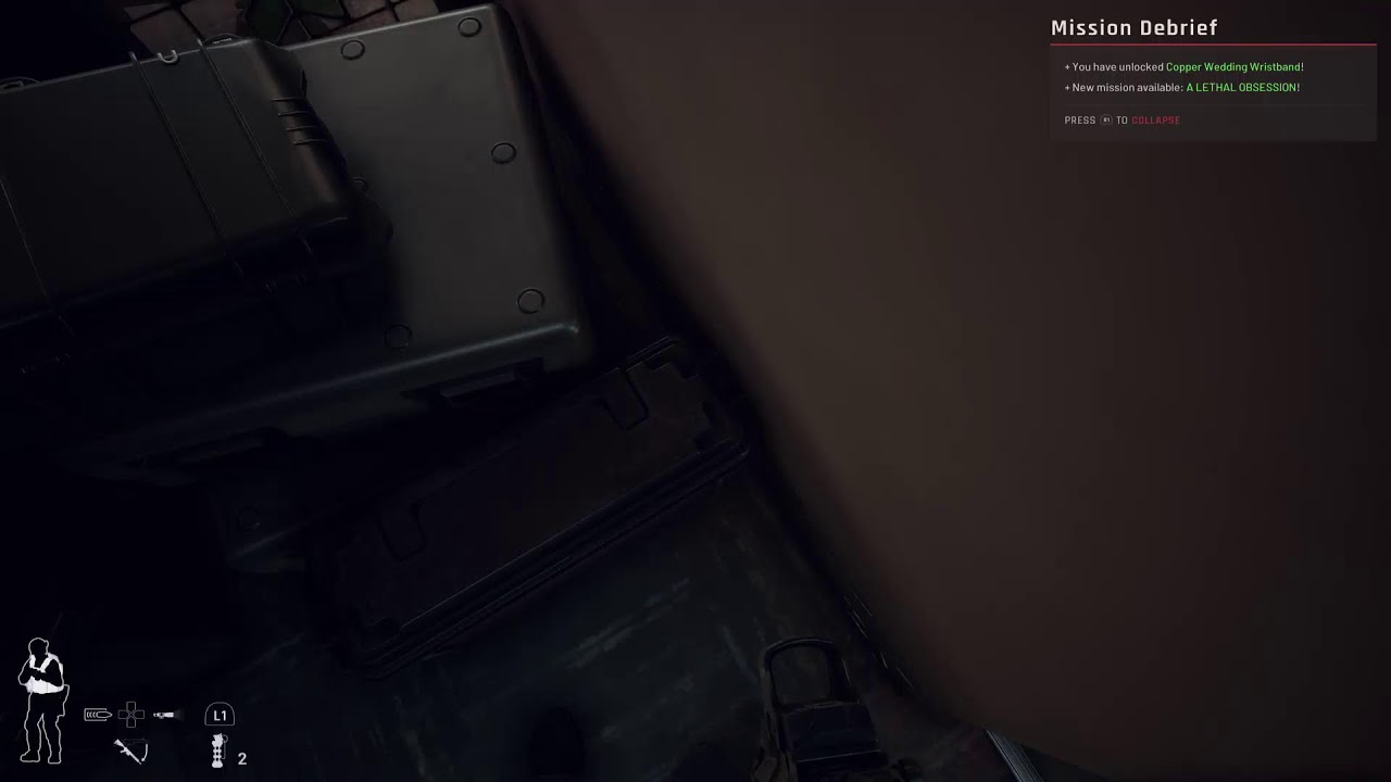 Catchin Bodies |Ready Or Not Ps5