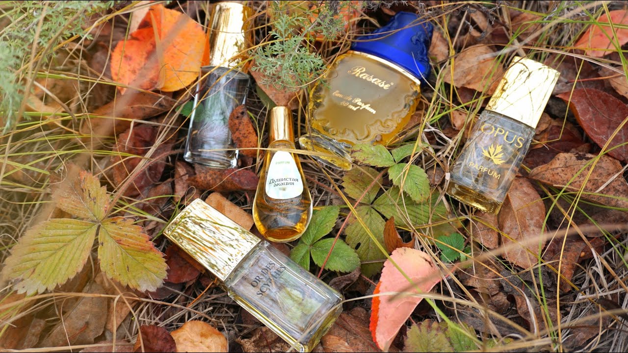 🍯 Медовые ароматы на осень 🍁🧡🍁 Rasasi, Vanderbilt, Новая Заря, Dilis Parfum 💛