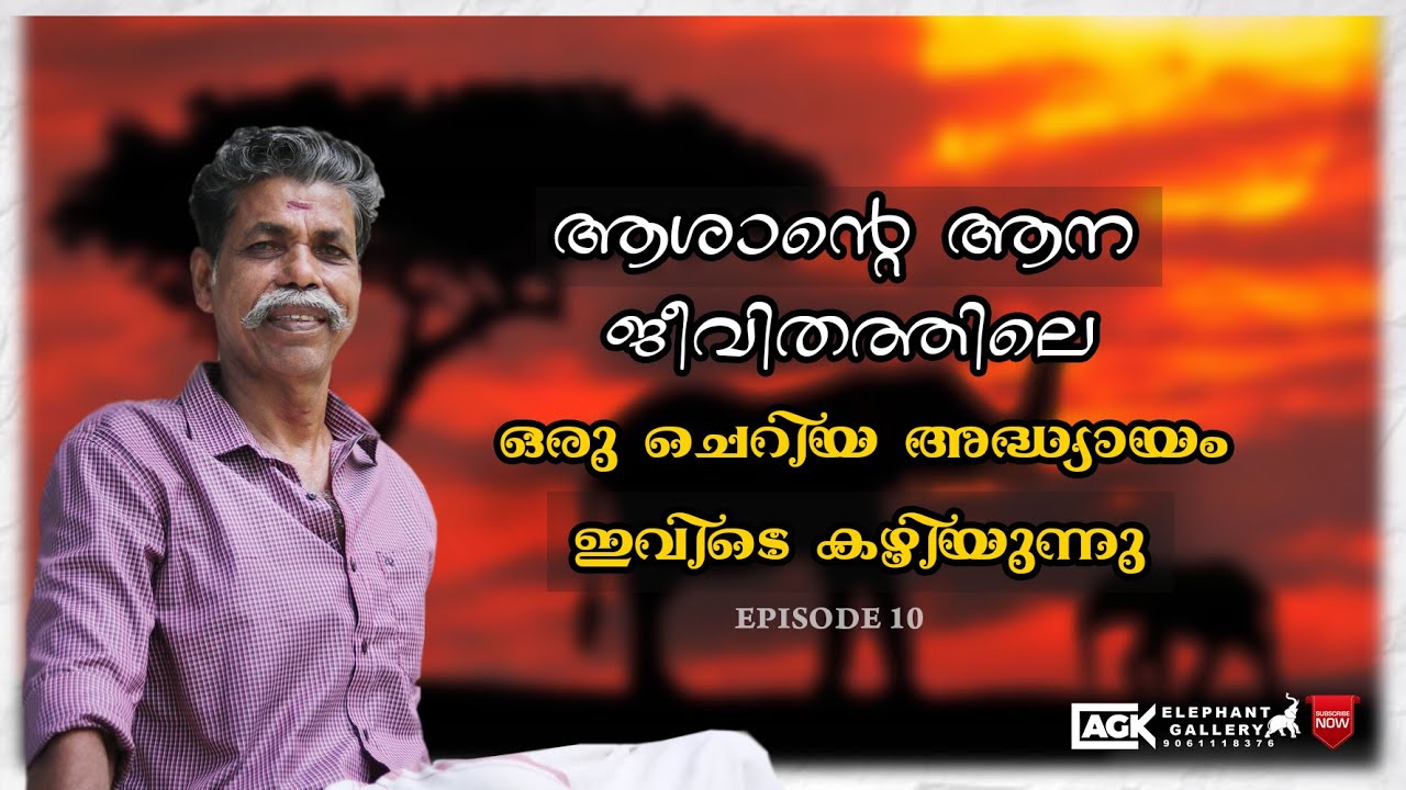 ആശാന്റെ ആന ജീവിതത്തിലെ ഒരു ചെറിയ അദ്ധ്യായം ഇവിടെ കഴിയുന്നു I EPISODE 10