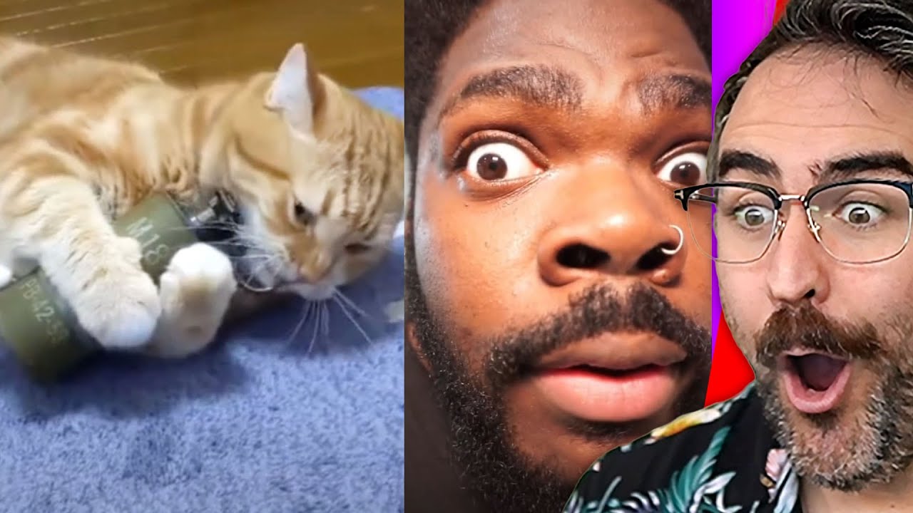 TikToks That Will Instantly Make Your Day Better