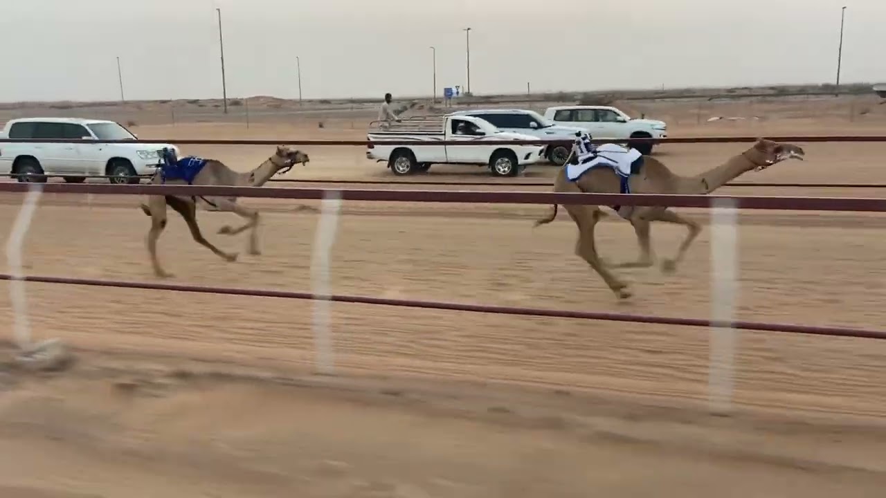 ١٦ أغسطس، ٢٠٢٥