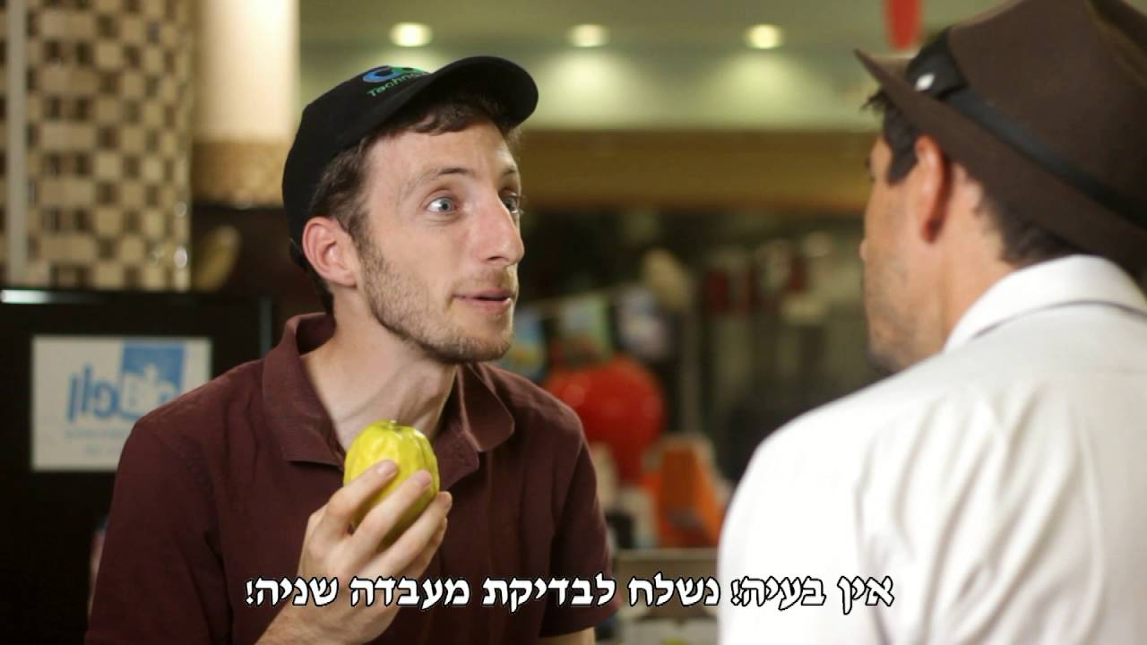 איך לסנכרן את כל המינים