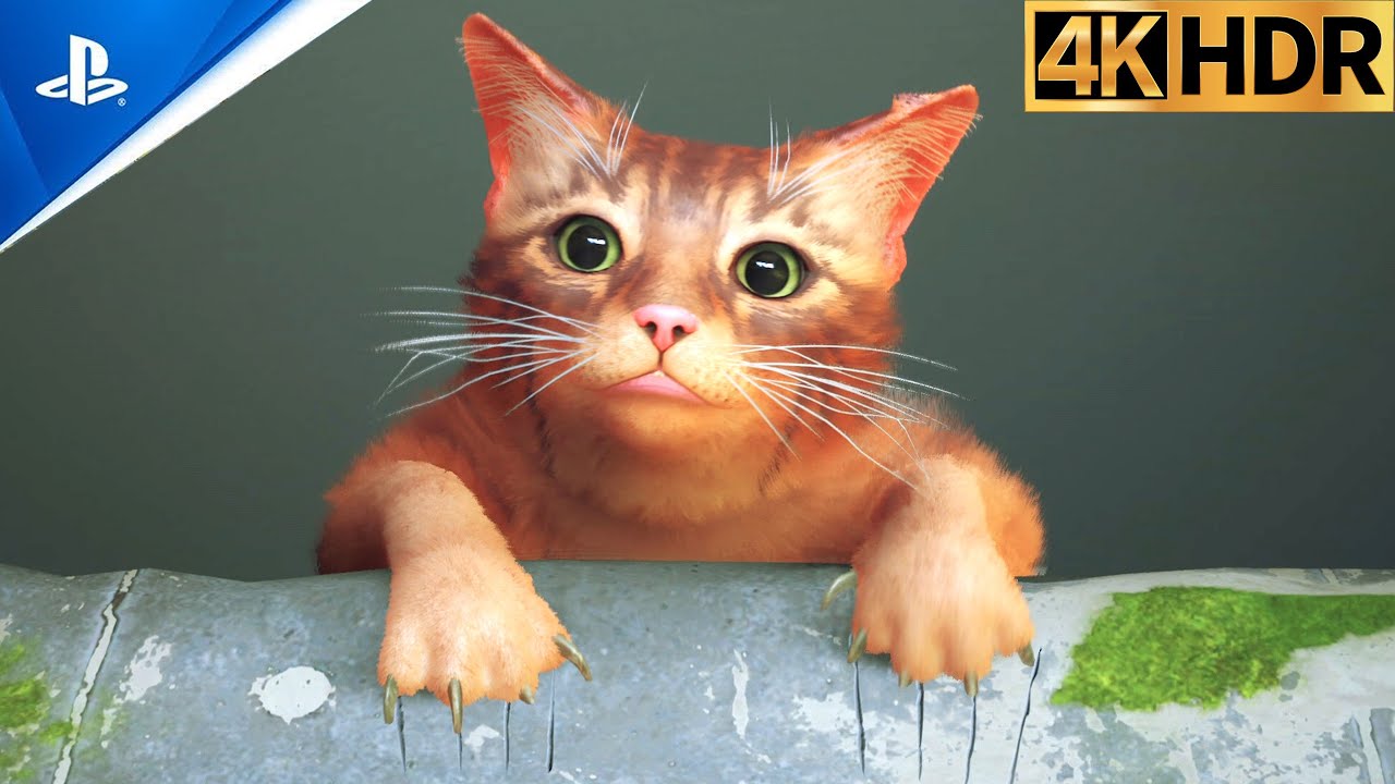 STRAY - In&iacute;cio de Gameplay, Jogo do Gato em Portugu&ecirc;s PT BR! [4K HDR PS5]