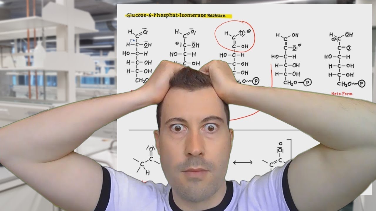 Glucose-6-Phosphat-Isomerase | Glykolyse und Gluconeogenese (5.2.3)
