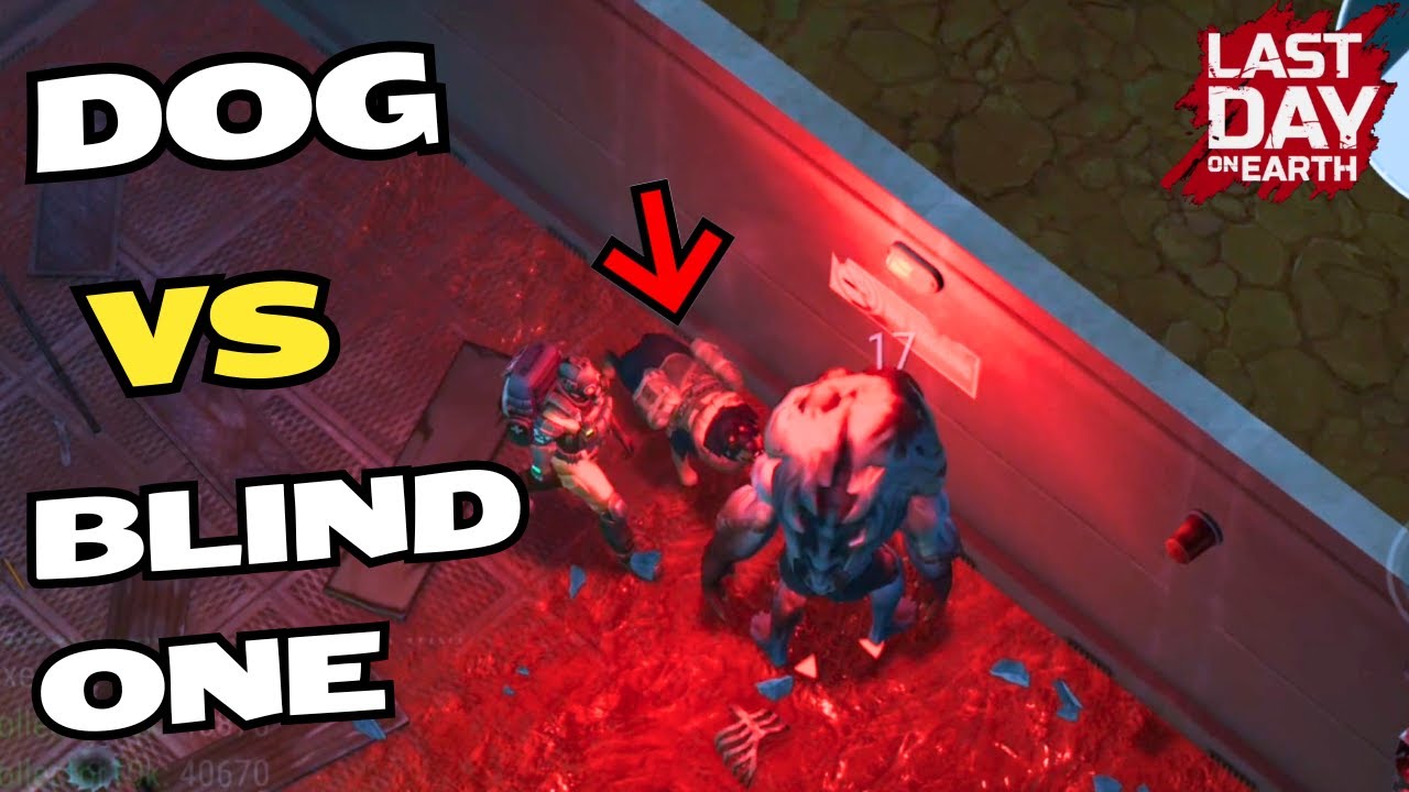 GET YOUR DOG INTO BLIND ONES ROOM DOG VS BLIND ONE Last Day on Earth