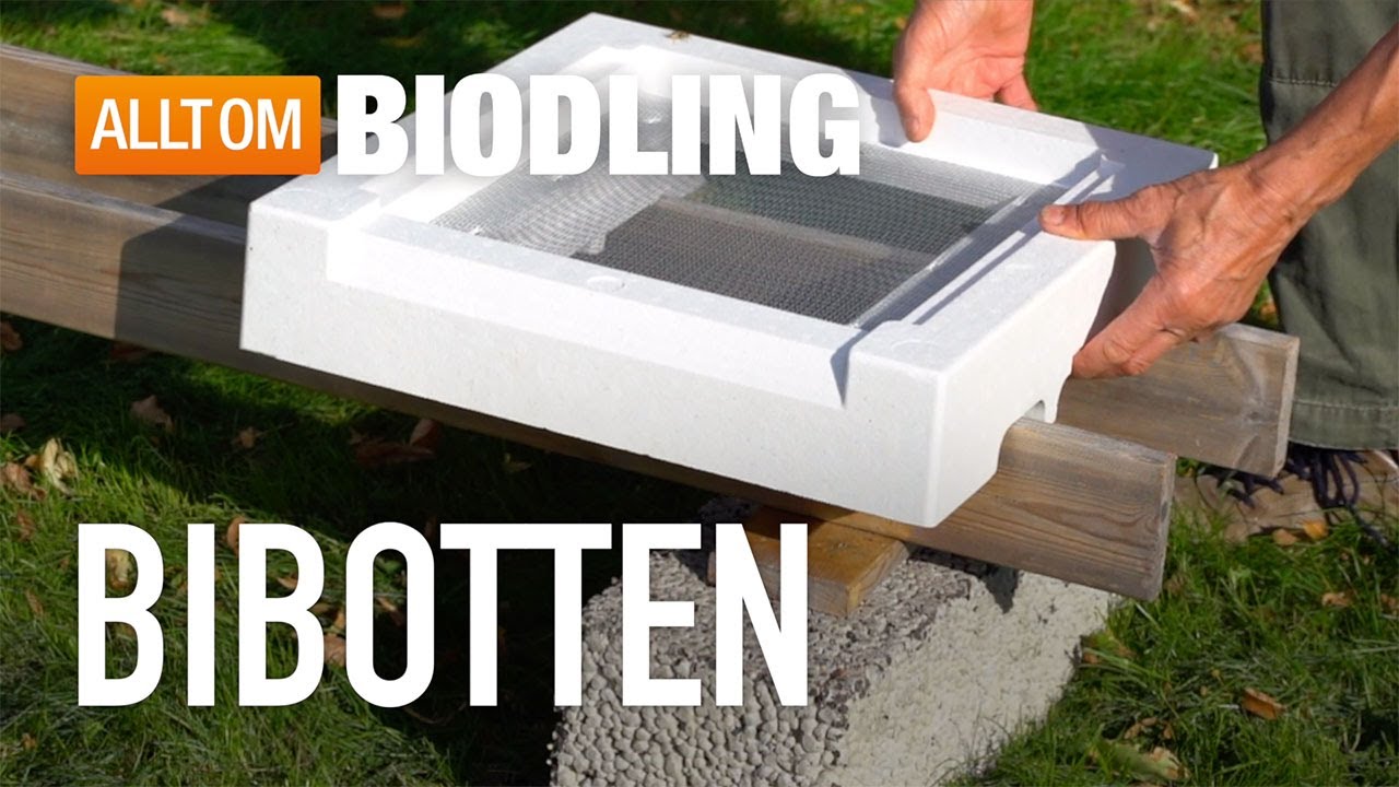 Bibotten till bikupa - Biodling