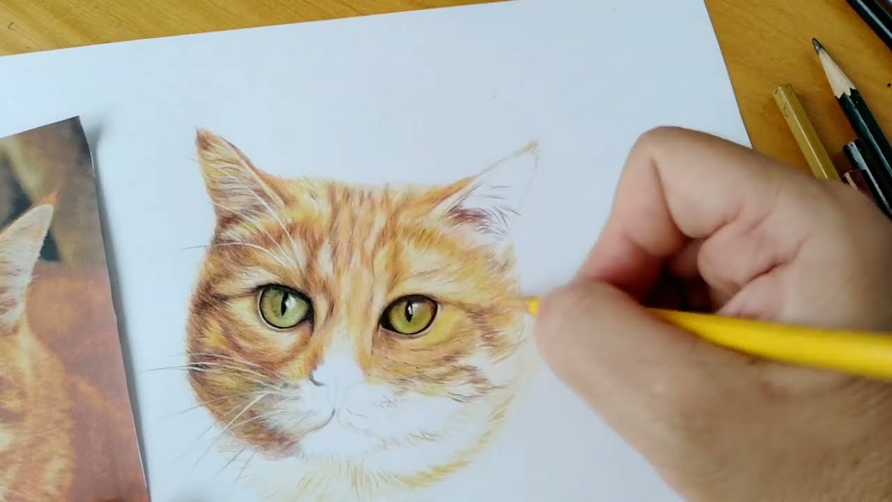 tutorial desenho realista gato passo a passo: pelagem