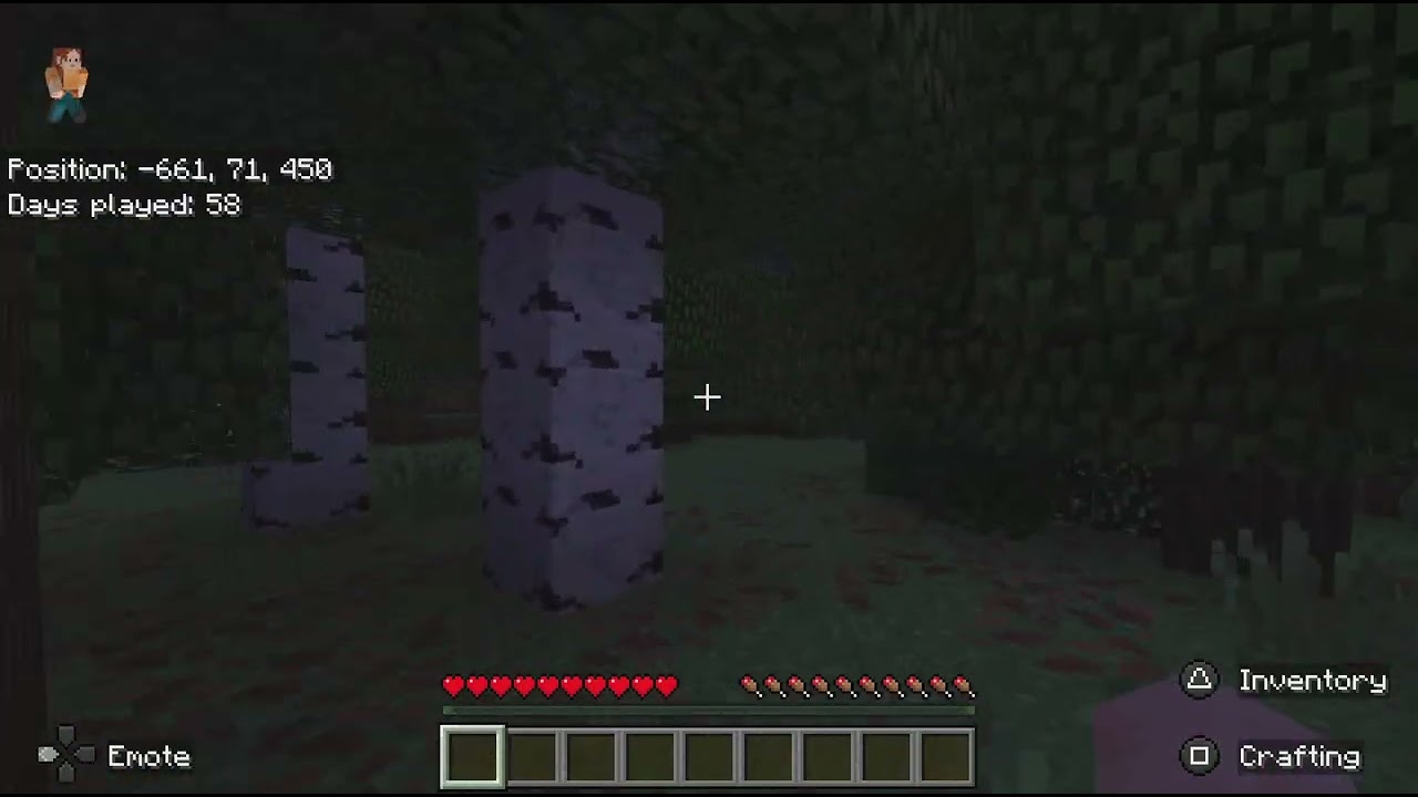Minecraft_20260214230231