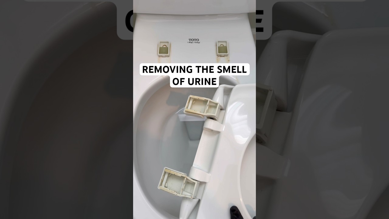 Need to remove urine odors? Try this! #toiletclean #toilet #clorox #bathroomcleaning