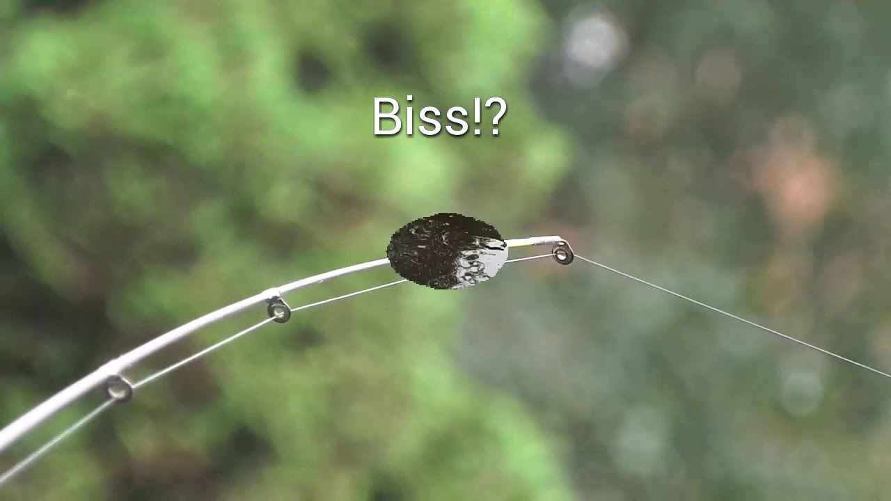 Feedern an der Stör. (6) Teil Heute Wilsterau!