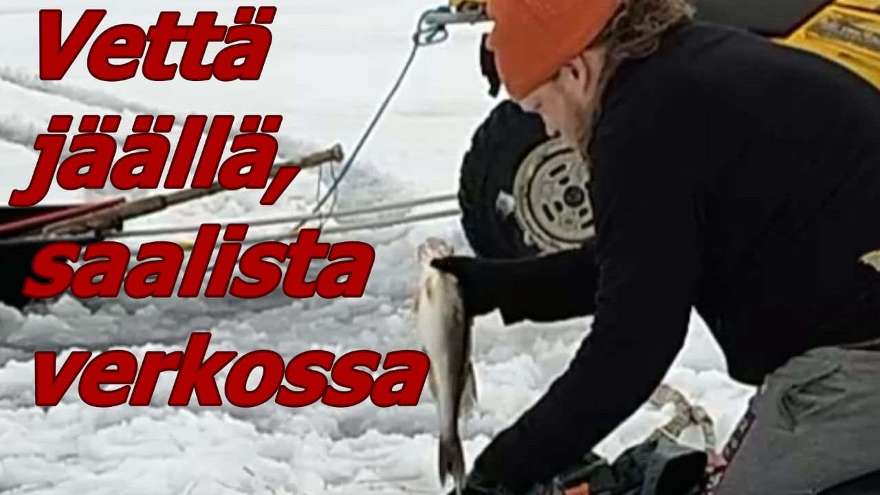 VETTÄ RANTAAN ASTI