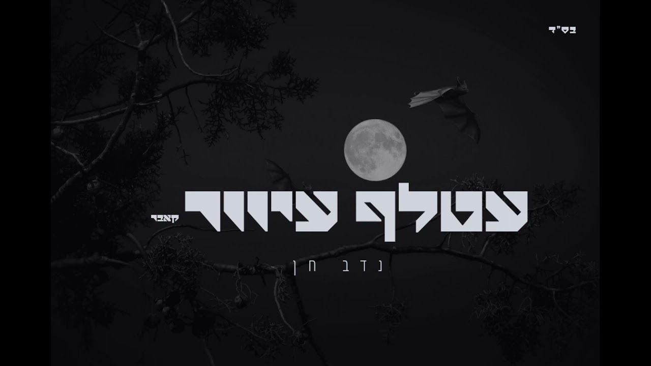 עטלף עיוור - נדב חן - קאבר