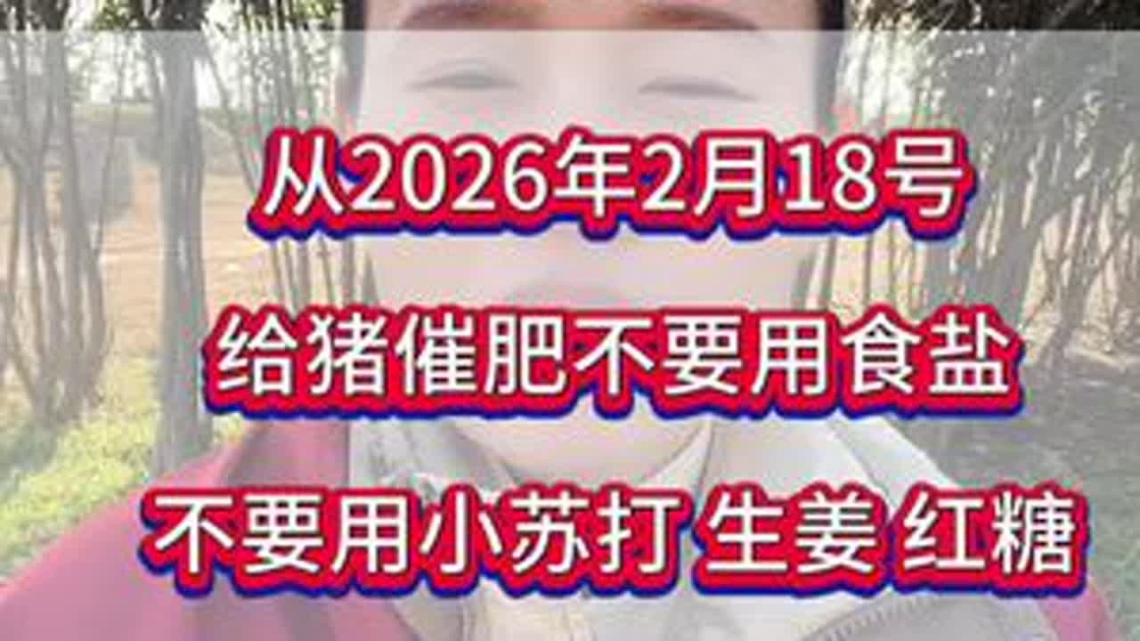 给猪群催肥用什么效果好#养猪增重#催肥增重#养猪管理#养猪人