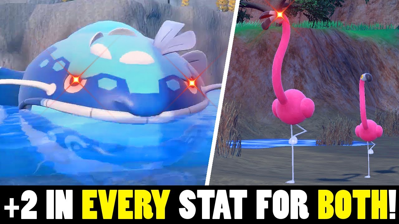 This Dondozo Flamigo Strategy Is SO BROKEN!