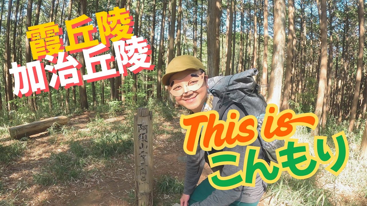 #210【霞丘陵】至福の極上ハイキング!2万株のつつじが咲き乱れる名刹を訪ねる旅【青梅市】#初心者 #登山 #日帰り