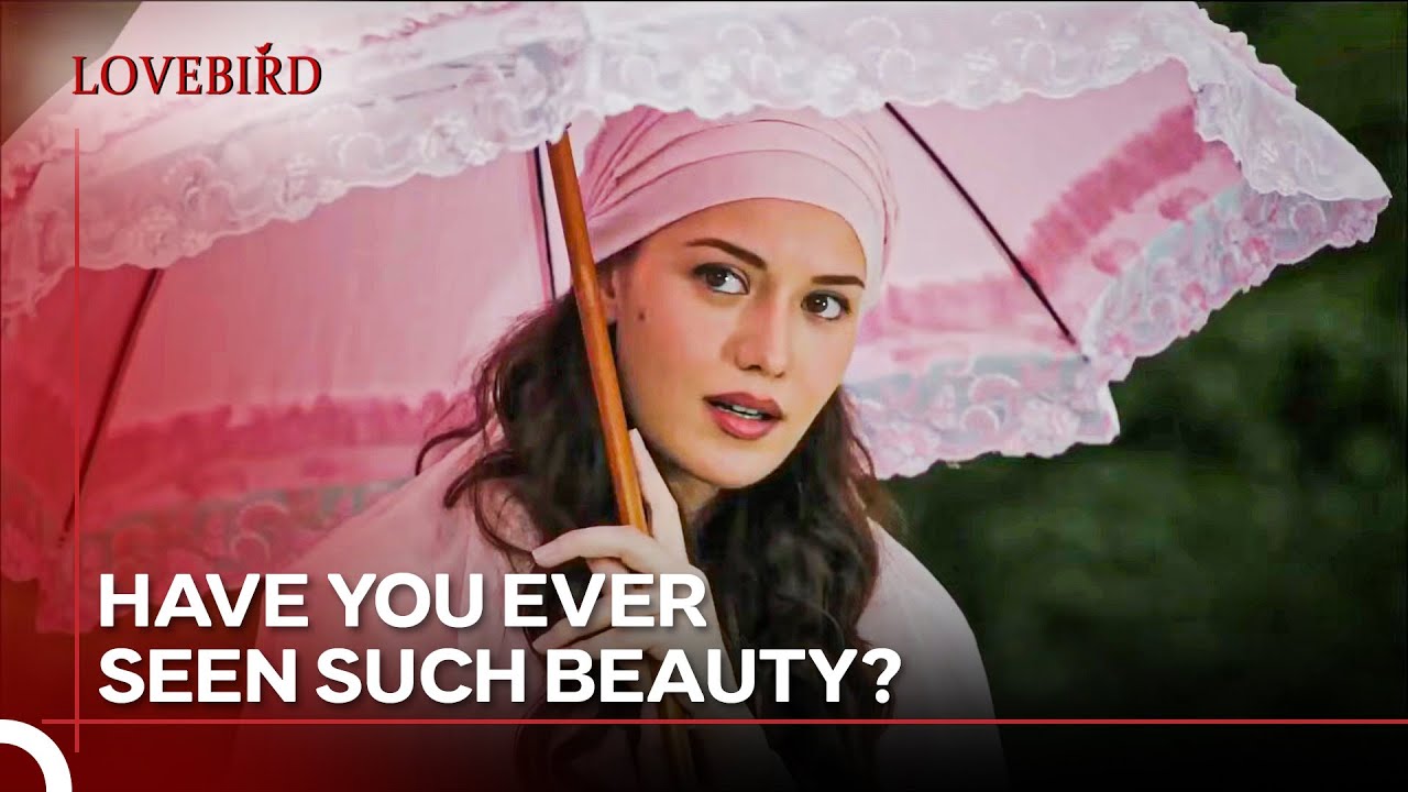 You Will Always Be Jealous Of Me Kamran! - Lovebird Episode 2