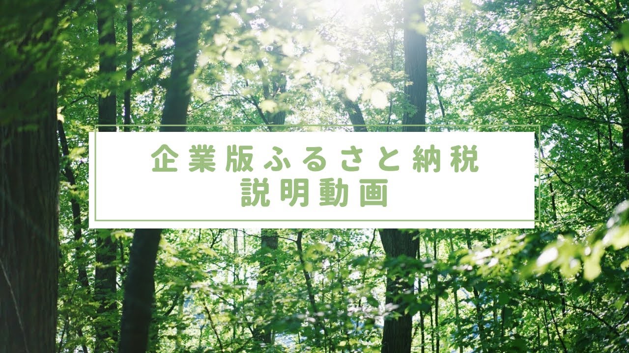 企業版ふるさと納税 説明動画