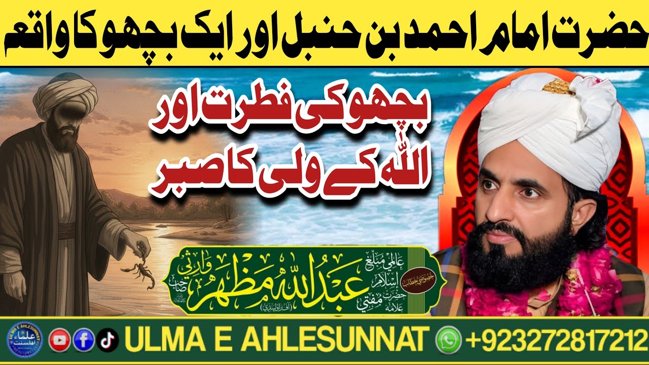 امام احمد بن حنبلؒ اور بچھو کا ایمان افروز واقعہ | Mufti Abdullah Mazhar Warsi | ulmaeahlesunnat
