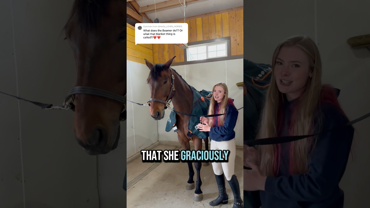 I hope this answers some questions about the Bemer blanket I&rsquo;ve been using! #horse #equestrian #fyp