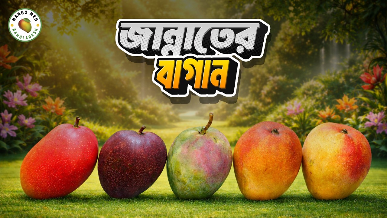 এমন ৫টা জাত হলে আর কি লাগে! Heaven In the Earth