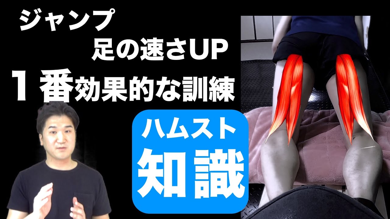 足の速さとジャンプ力を上げるハムストリングス理論❷〜１番効果の高いハムストリングスのトレーニングの根拠〜