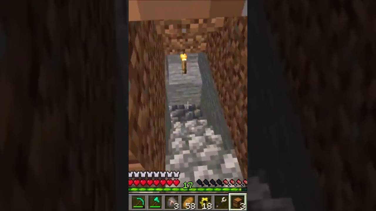 Minecraft- Momenti di trick o di deficienza per il taurone?