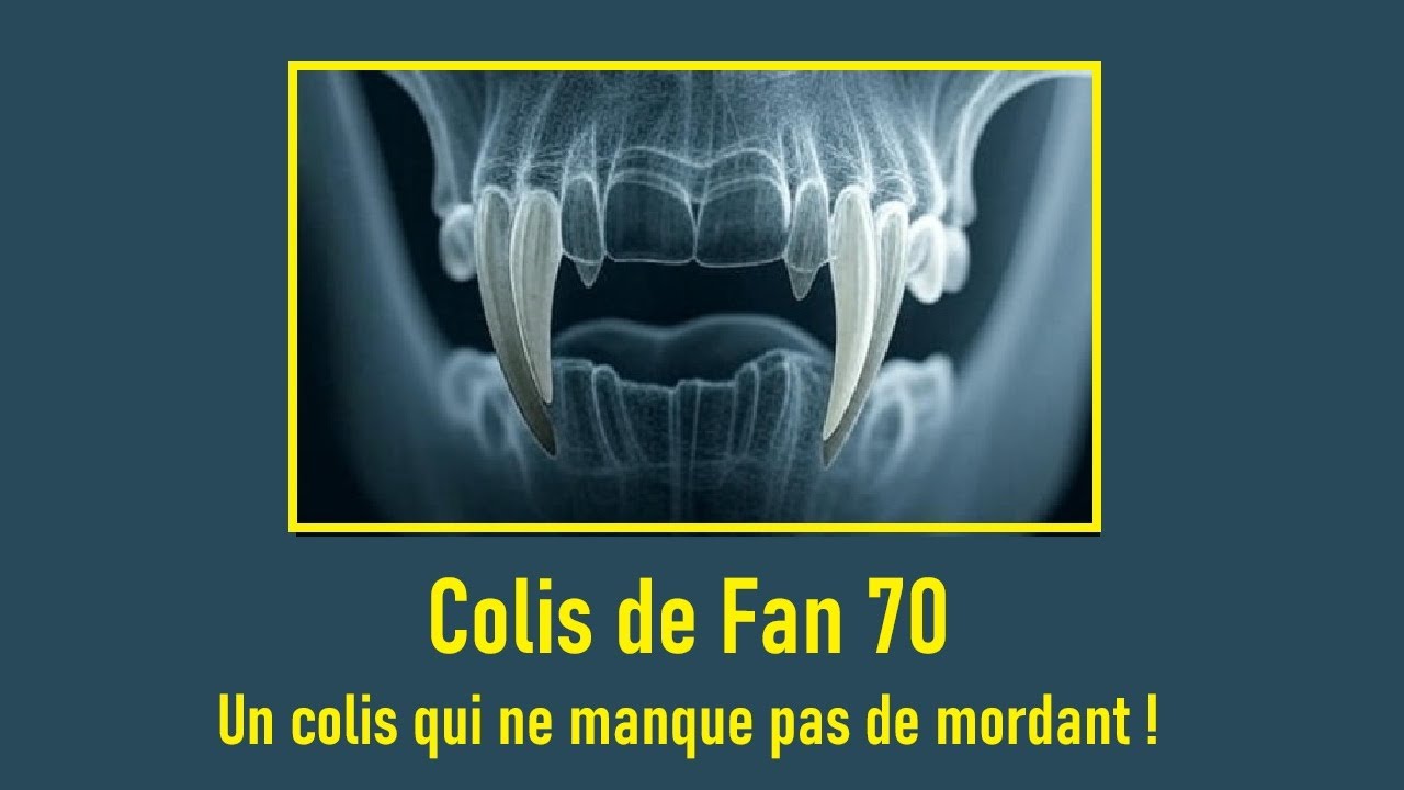 Cyrob : Colis de fan 70: X à 100% !