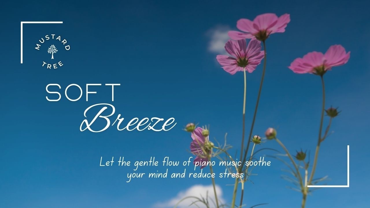 Soft Breeze - Light and airy piano melodies to bring peace and calm to your day by Mustard Tree