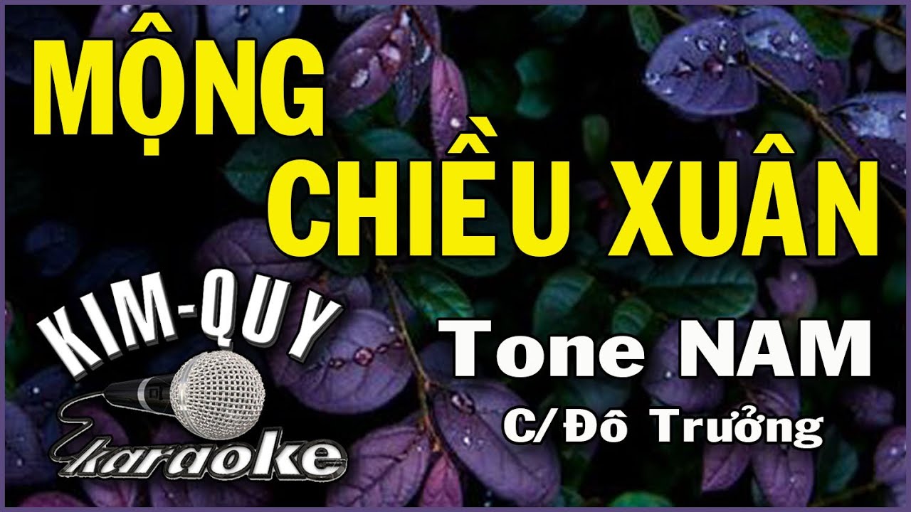 MỘNG CHIỀU XUÂN - KARAOKE ( TANGO ) - Tone NAM ( C/Đô Trưởng )