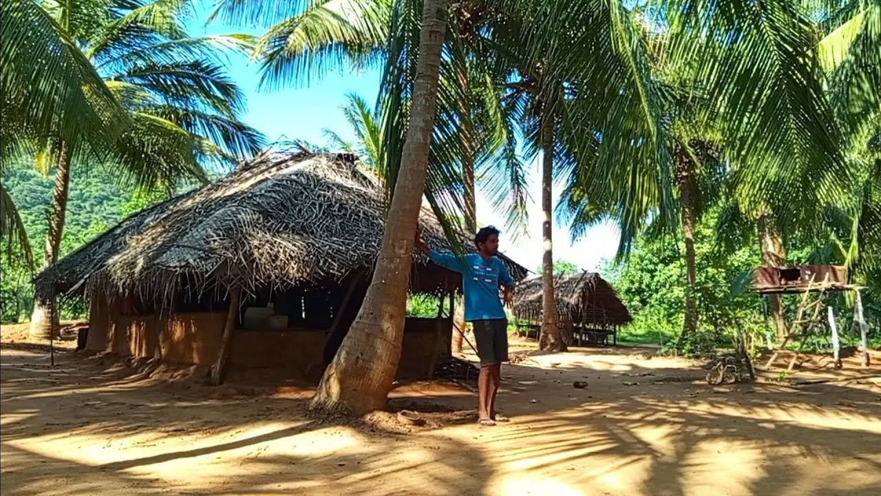 පැල් කොටේ🙋‍♂️🍁☘️🌱