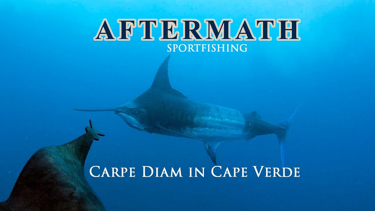 Aftermath Episode 4:  Carpe Diem in Cape Verde