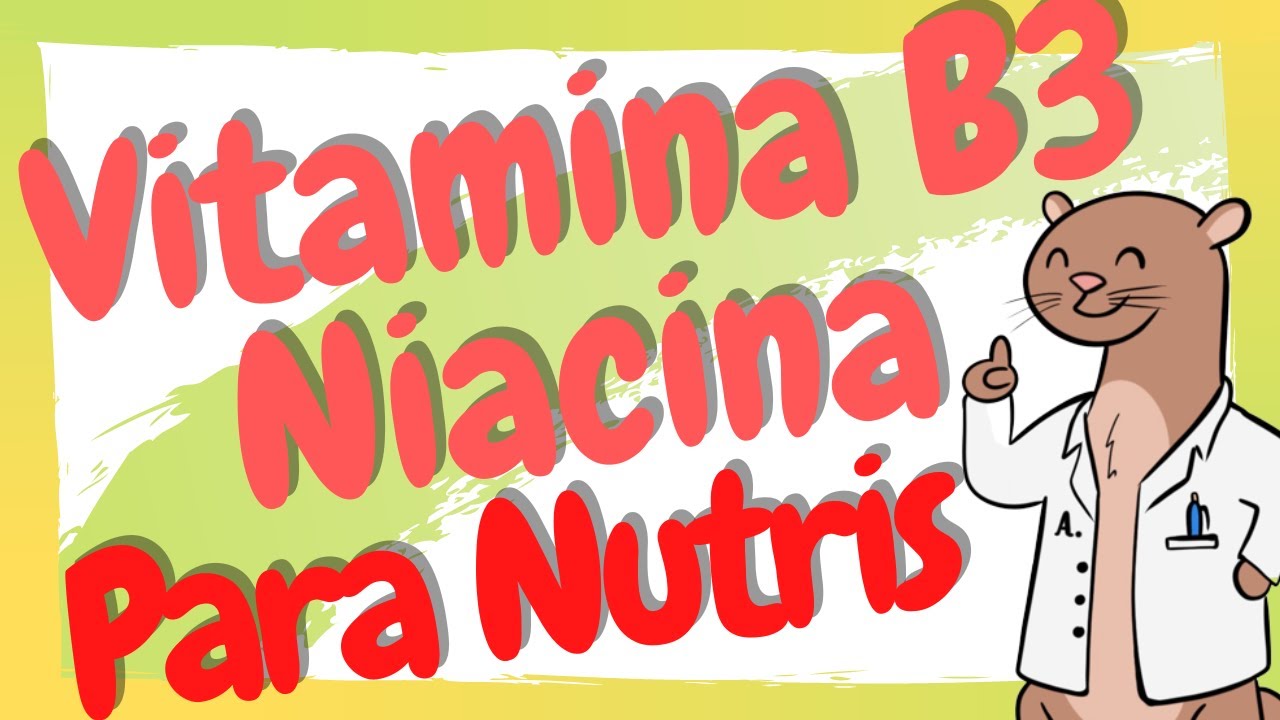 ¿Qué es la Niacina y para qué sirve? / Vitamina B3 en Nutrición