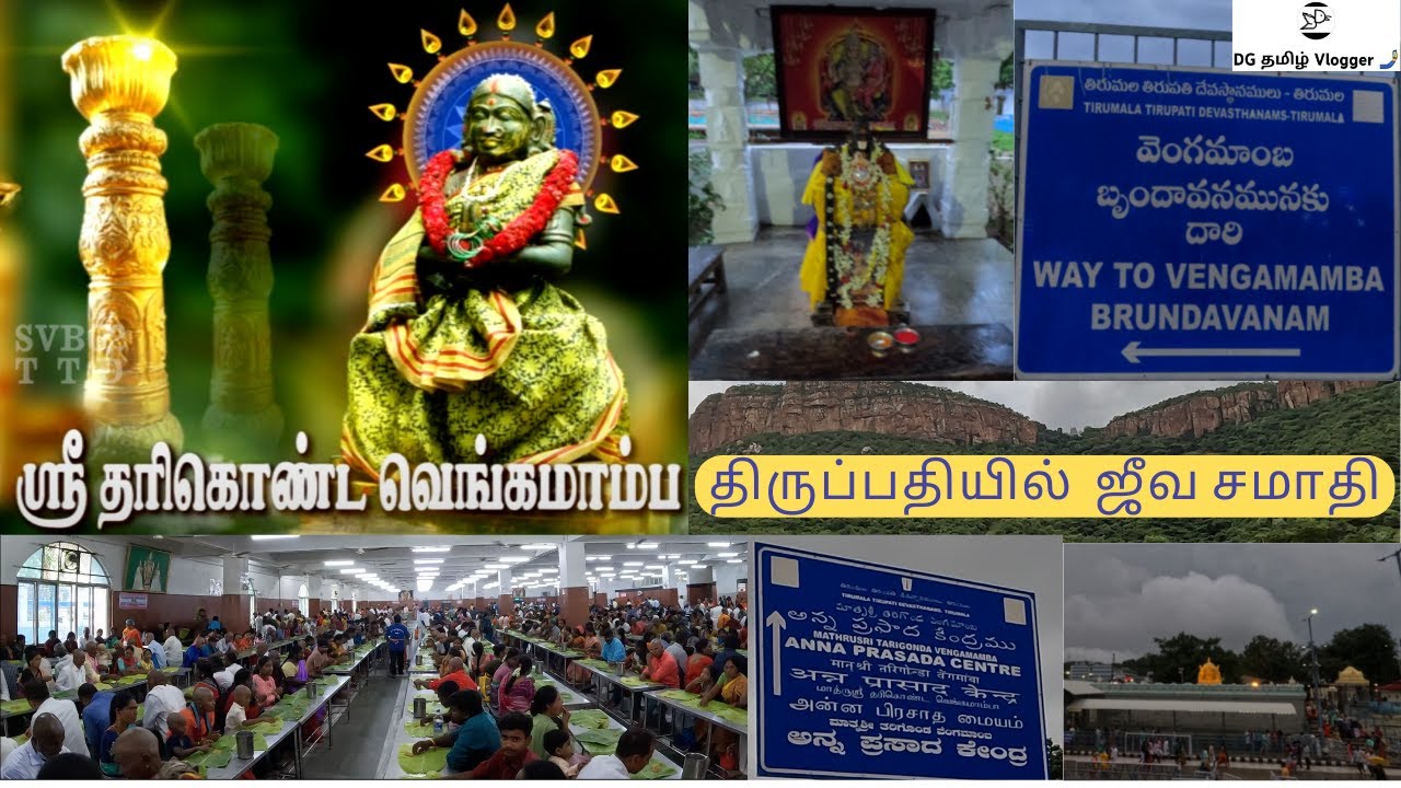 திருப்பதியில் உள்ள ஜீவ சமாதி | Tirupathi  Shri Tarigonda Vengamamba Jeeva Samadhi | Tirumala Temple